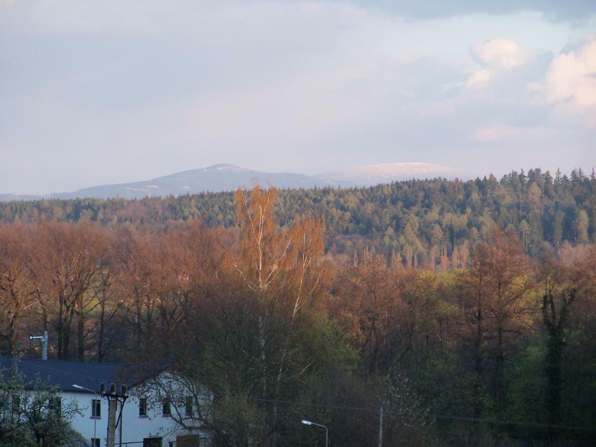 Willa Gorski Widok Polanica-Zdrój Exteriör bild